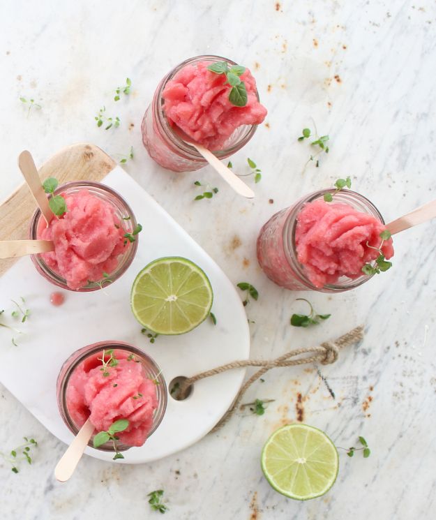 Cranberry & Watermelon Granita in the Thermomix | Recipe