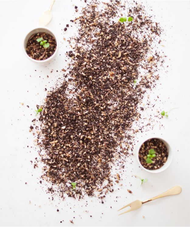 Chocolate Soil in the Thermomix | Recipe